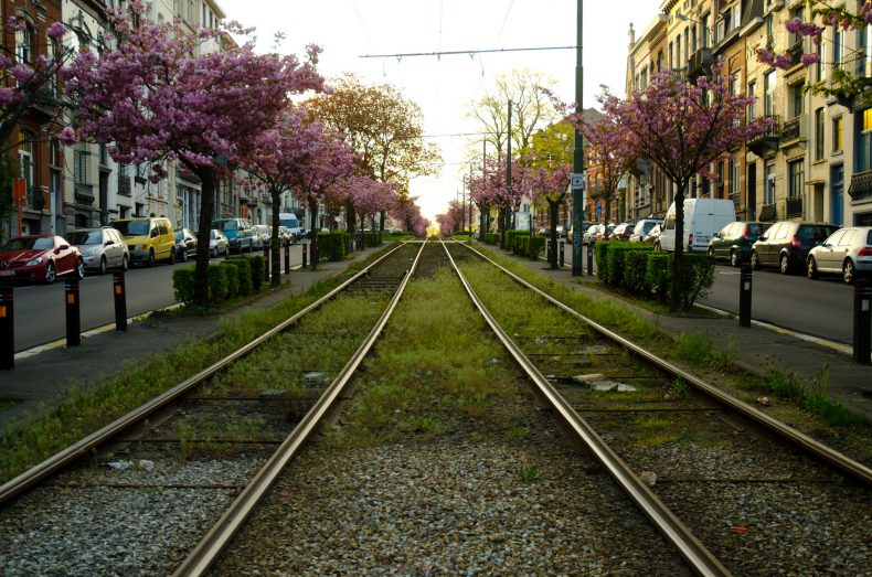 See a different side of Brussels in Schaerbeek