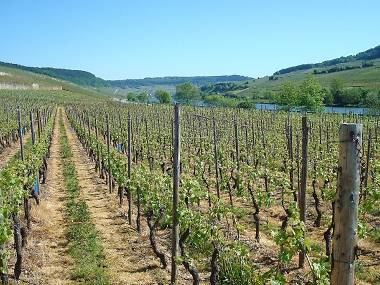 Moselle Valley